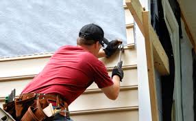 Best Fascia and Soffit Installation  in Washington Park, IL